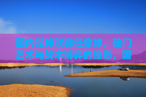 国内足球联赛任意球，破门艺术与战术博弈的缩影，国内足球联赛任意球，破门艺术与战术博弈的缩影