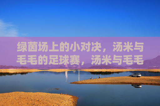 绿茵场上的小对决，汤米与毛毛的足球赛，汤米与毛毛的绿茵小对决