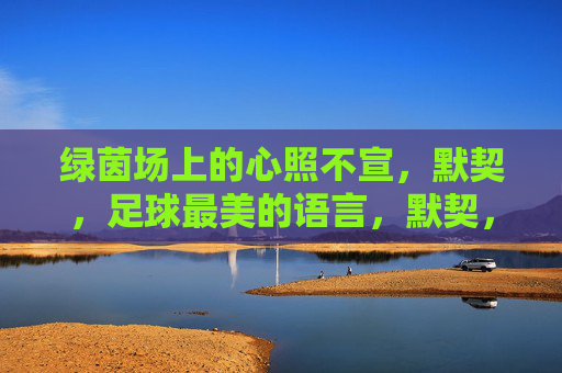 绿茵场上的心照不宣，默契，足球最美的语言，默契，绿茵场上最美的语言