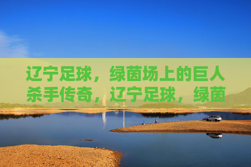 辽宁足球，绿茵场上的巨人杀手传奇，辽宁足球，绿茵场上的巨人杀手传奇