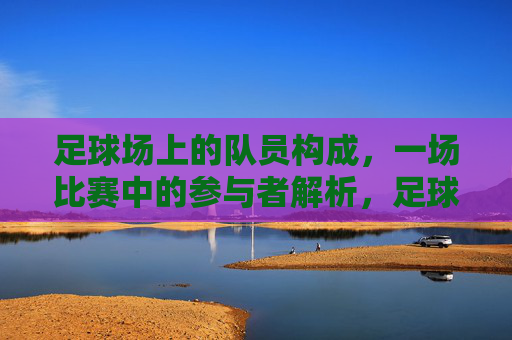 足球场上的队员构成，一场比赛中的参与者解析，足球比赛队员构成与参与者解析