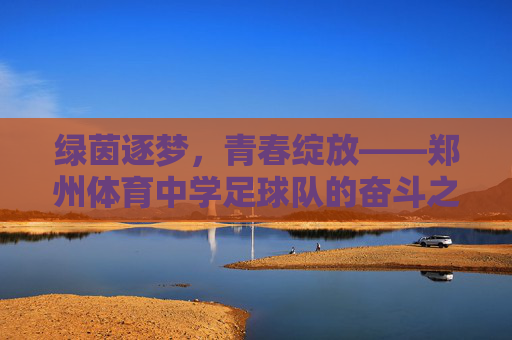 绿茵逐梦，青春绽放——郑州体育中学足球队的奋斗之路，绿茵逐梦，青春绽放