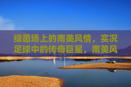 绿茵场上的南美风情，实况足球中的传奇巨星，南美风情，实况足球的绿茵传奇
