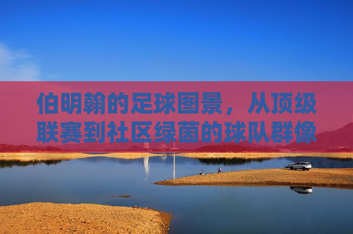 伯明翰的足球图景，从顶级联赛到社区绿茵的球队群像