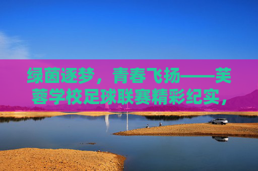 绿茵逐梦，青春飞扬——芙蓉学校足球联赛精彩纪实，绿茵逐梦，青春飞扬——芙蓉学校足球联赛精彩纪实