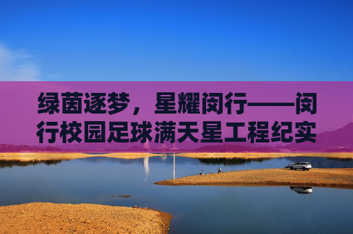 绿茵逐梦，星耀闵行——闵行校园足球满天星工程纪实，绿茵逐梦，星耀闵行——闵行校园足球满天星工程纪实