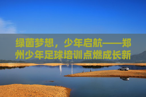 绿茵梦想，少年启航——郑州少年足球培训点燃成长新活力，郑州少年足球培训，绿茵梦想启航，点燃成长新活力