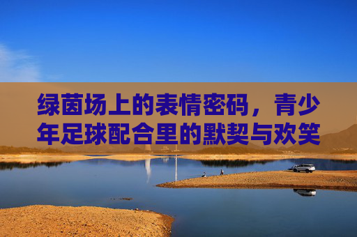 绿茵场上的表情密码，青少年足球配合里的默契与欢笑，绿茵场上的表情密码，青少年足球的默契与欢笑
