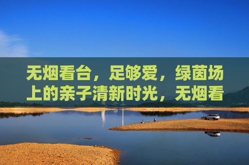 无烟看台，足够爱，绿茵场上的亲子清新时光，无烟看台，亲子绿茵清新时光