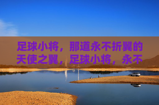 足球小将，那道永不折翼的天使之翼，足球小将，永不折翼的天使之翼