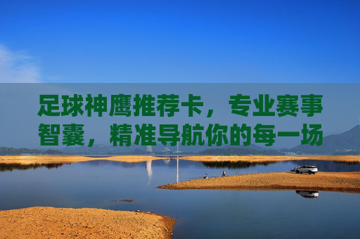 足球神鹰推荐卡，专业赛事智囊，精准导航你的每一场热爱，足球神鹰智囊，精准导航你的赛事热爱