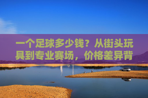 一个足球多少钱？从街头玩具到专业赛场，价格差异背后的秘密，街头玩具到专业赛场，足球价格差异背后的秘密