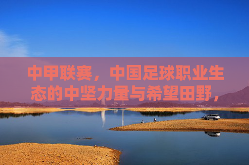 中甲联赛，中国足球职业生态的中坚力量与希望田野，中甲，中国足球职业生态的中坚力量与希望田野