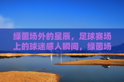 绿茵场外的星辰，足球赛场上的球迷感人瞬间，绿茵场外星辰闪耀，赛场球迷感人瞬间