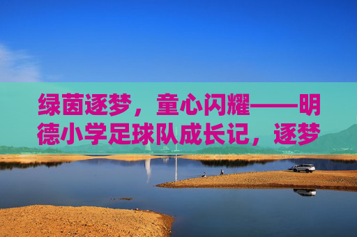 绿茵逐梦，童心闪耀——明德小学足球队成长记，逐梦绿茵，童心闪耀——明德小学足球队成长记