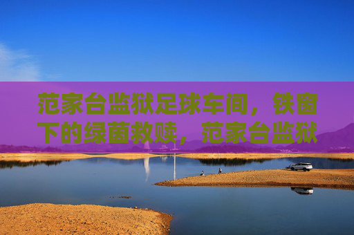 范家台监狱足球车间，铁窗下的绿茵救赎，范家台监狱足球车间，铁窗下的绿茵救赎