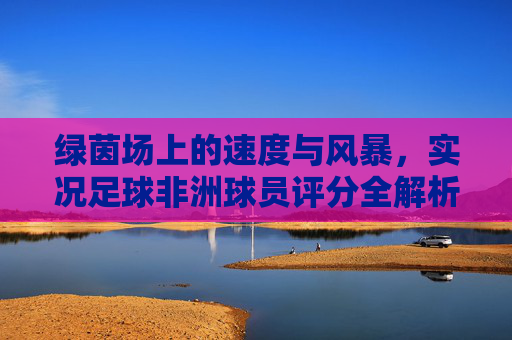 绿茵场上的速度与风暴，实况足球非洲球员评分全解析，实况足球非洲球员评分全解析