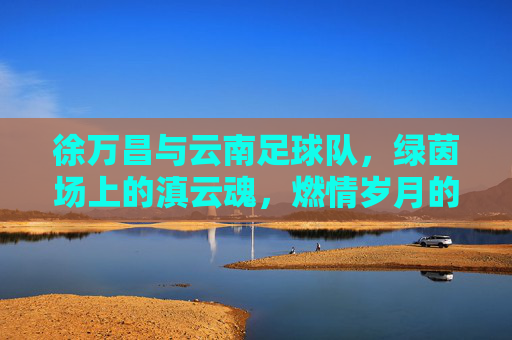 徐万昌与云南足球队，绿茵场上的滇云魂，燃情岁月的筑梦人，徐万昌，滇云绿茵魂，燃情筑梦人