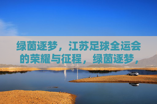 绿茵逐梦，江苏足球全运会的荣耀与征程，绿茵逐梦，江苏足球全运会的荣耀征程