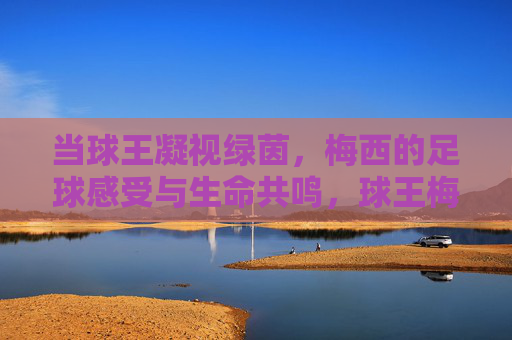 当球王凝视绿茵，梅西的足球感受与生命共鸣，球王梅西，绿茵凝视与生命共鸣