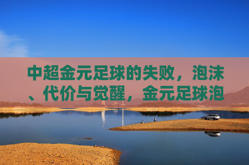 中超金元足球的失败，泡沫、代价与觉醒，金元足球泡沫，中超的失败、代价与觉醒