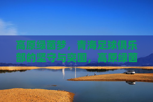 高原绿茵梦，青海足球俱乐部的坚守与突围，高原绿茵梦，青海足球俱乐部的坚守与突围