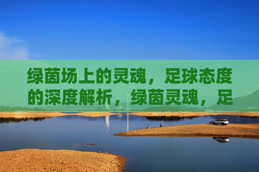 绿茵场上的灵魂，足球态度的深度解析，绿茵灵魂，足球态度的深度解析