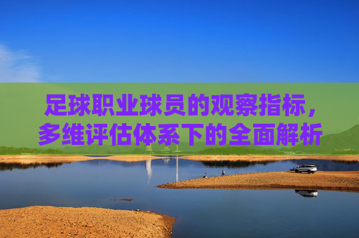 足球职业球员的观察指标，多维评估体系下的全面解析，足球职业球员多维评估体系，观察指标的全面解析