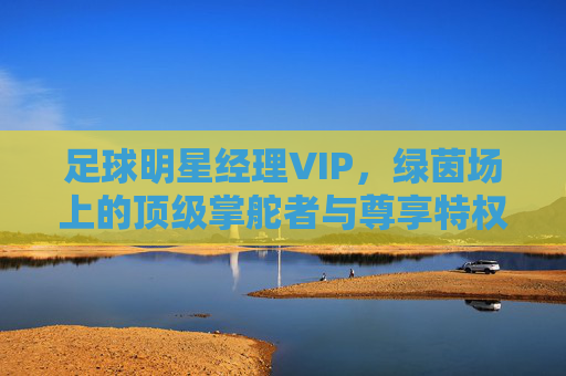 足球明星经理VIP，绿茵场上的顶级掌舵者与尊享特权，绿茵场顶级掌舵者，足球明星经理VIP尊享特权