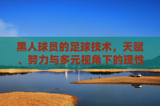 黑人球员的足球技术，天赋、努力与多元视角下的理性审视，黑人球员足球技术，天赋、努力与多元视角的理性审视