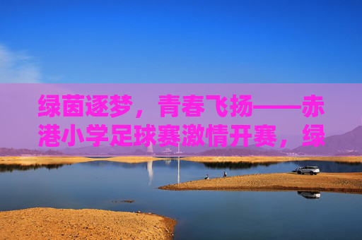 绿茵逐梦，青春飞扬——赤港小学足球赛激情开赛，绿茵逐梦，青春飞扬——赤港小学足球赛激情开赛