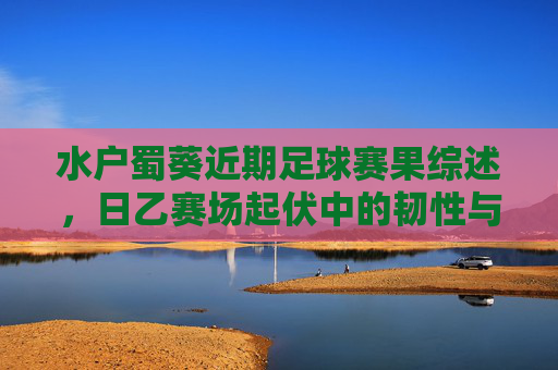 水户蜀葵近期足球赛果综述，日乙赛场起伏中的韧性与调整，水户蜀葵日乙赛果综述，起伏中的韧性与调整