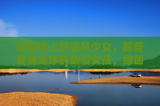 绿茵场上的追风少女，那些爱踢足球的动漫女孩，绿茵追风，爱踢足球的动漫少女