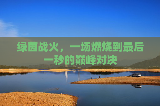 绿茵战火，一场燃烧到最后一秒的巅峰对决