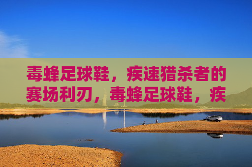 毒蜂足球鞋，疾速猎杀者的赛场利刃，毒蜂足球鞋，疾速猎杀者的赛场利刃