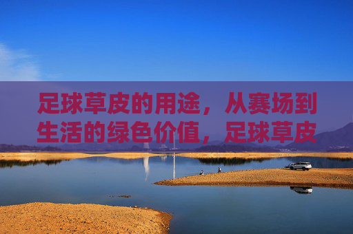 足球草皮的用途，从赛场到生活的绿色价值，足球草皮，从赛场到生活的绿色价值