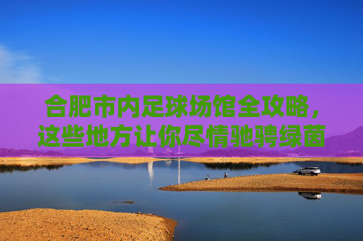 合肥市内足球场馆全攻略，这些地方让你尽情驰骋绿茵场，合肥市足球场馆全攻略，尽情驰骋绿茵场