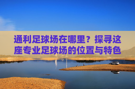 通利足球场在哪里？探寻这座专业足球场的位置与特色，探寻通利足球场的位置与特色