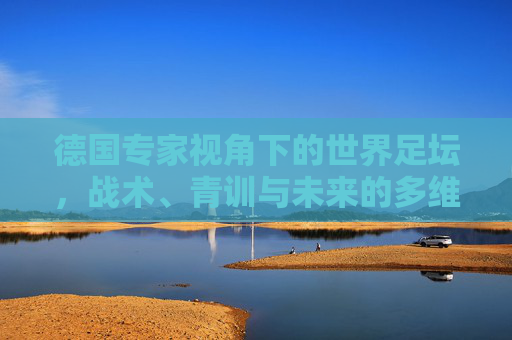 德国专家视角下的世界足坛，战术、青训与未来的多维解析，德国专家视角，世界足坛战术、青训与未来多维解析