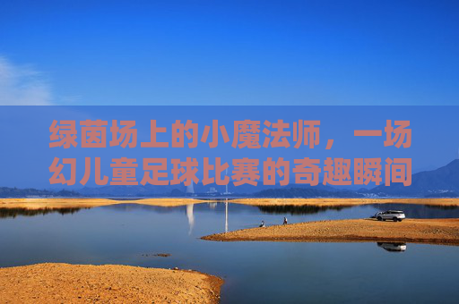 绿茵场上的小魔法师，一场幻儿童足球比赛的奇趣瞬间，绿茵小魔法师，儿童足球奇趣瞬间