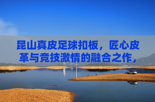 昆山真皮足球扣板，匠心皮革与竞技激情的融合之作，昆山真皮足球扣板，匠心皮革与竞技激情的融合