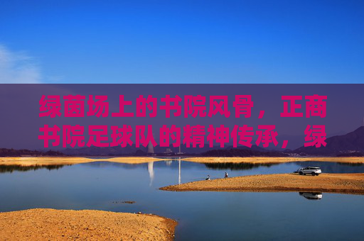 绿茵场上的书院风骨，正商书院足球队的精神传承，绿茵书风骨，传承正商魂