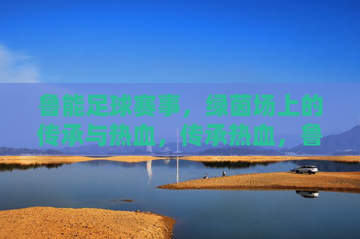 鲁能足球赛事，绿茵场上的传承与热血，传承热血，鲁能绿茵赛事