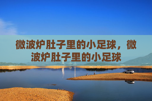 微波炉肚子里的小足球，微波炉肚子里的小足球