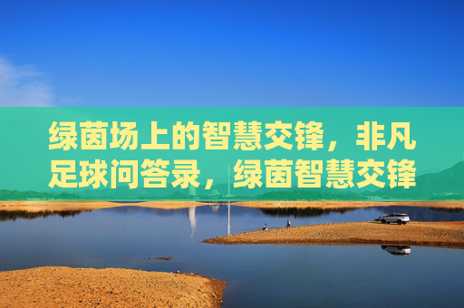 绿茵场上的智慧交锋，非凡足球问答录，绿茵智慧交锋，非凡足球问答录