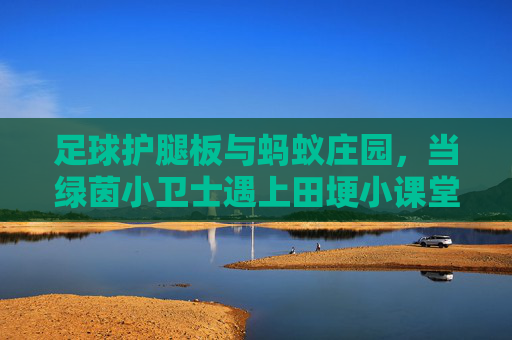 足球护腿板与蚂蚁庄园，当绿茵小卫士遇上田埂小课堂