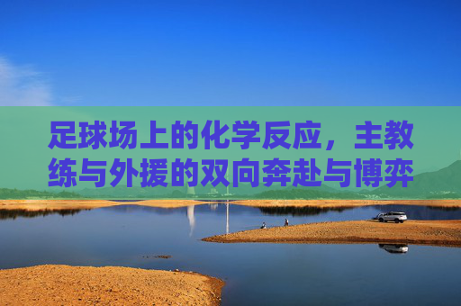 足球场上的化学反应，主教练与外援的双向奔赴与博弈，足球场上的化学反应，主教练与外援的双向奔赴与博弈