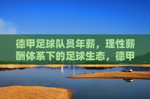 德甲足球队员年薪，理性薪酬体系下的足球生态，德甲，理性薪酬体系下的足球生态与年薪图景
