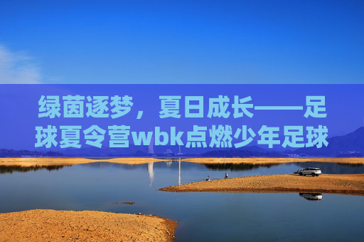 绿茵逐梦，夏日成长——足球夏令营wbk点燃少年足球热情，绿茵逐梦，夏日成长——足球夏令营wbk点燃少年足球热情