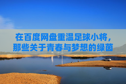 在百度网盘重温足球小将，那些关于青春与梦想的绿茵记忆，重温足球小将，青春与梦想的绿茵记忆
